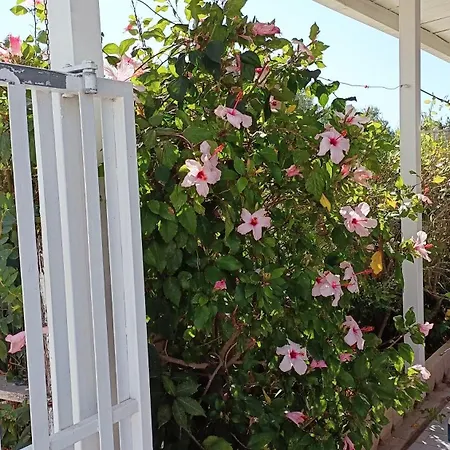 Barbara Holiday home